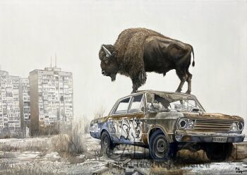 First34578 Last34578-Bison-Olej