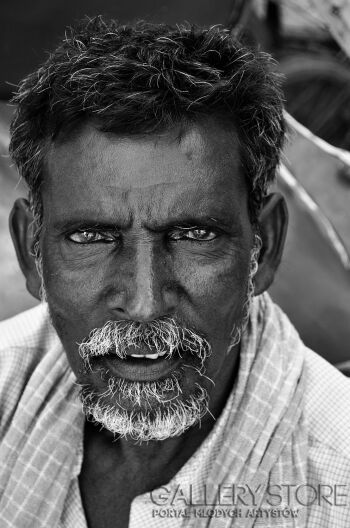 First30677 Last30677-ahh Portret Indii-Fotografia