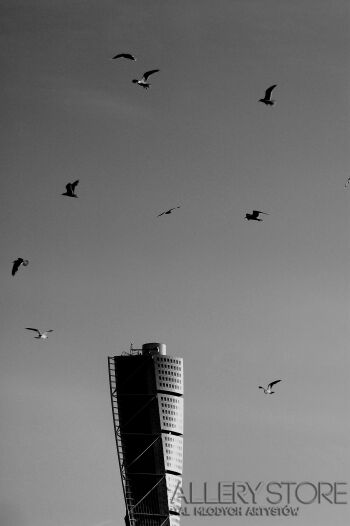 First30677 Last30677-ahh highest in scandinavia Turning Torso -Fotografia