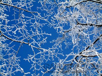 First30677 Last30677-ahh polish winter-Fotografia