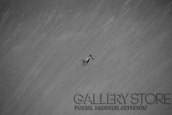 First30677 Last30677-ta wolnosc-Fotografia