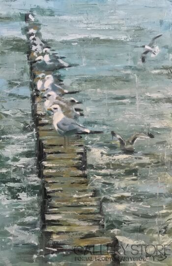 First32104 Last32104-Baltic gulls 2-Olej