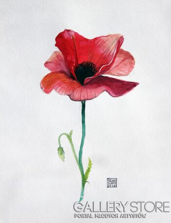 First34516 Last34516-Mak-Giclee