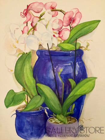 First177 Last177-Szafirowy dzban i orchidee-Akwarela