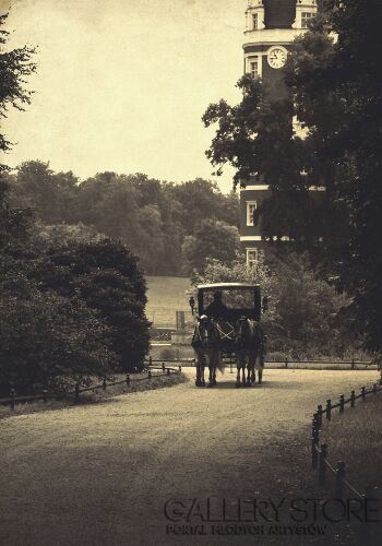 First36139 Last36139-BAD MUSKAU-Fotografia