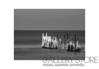 First36139 Last36139-FALOCHRON-Fotografia