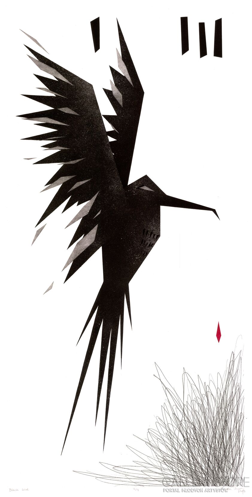 First29762 Last29762-Black bird-Plakaty