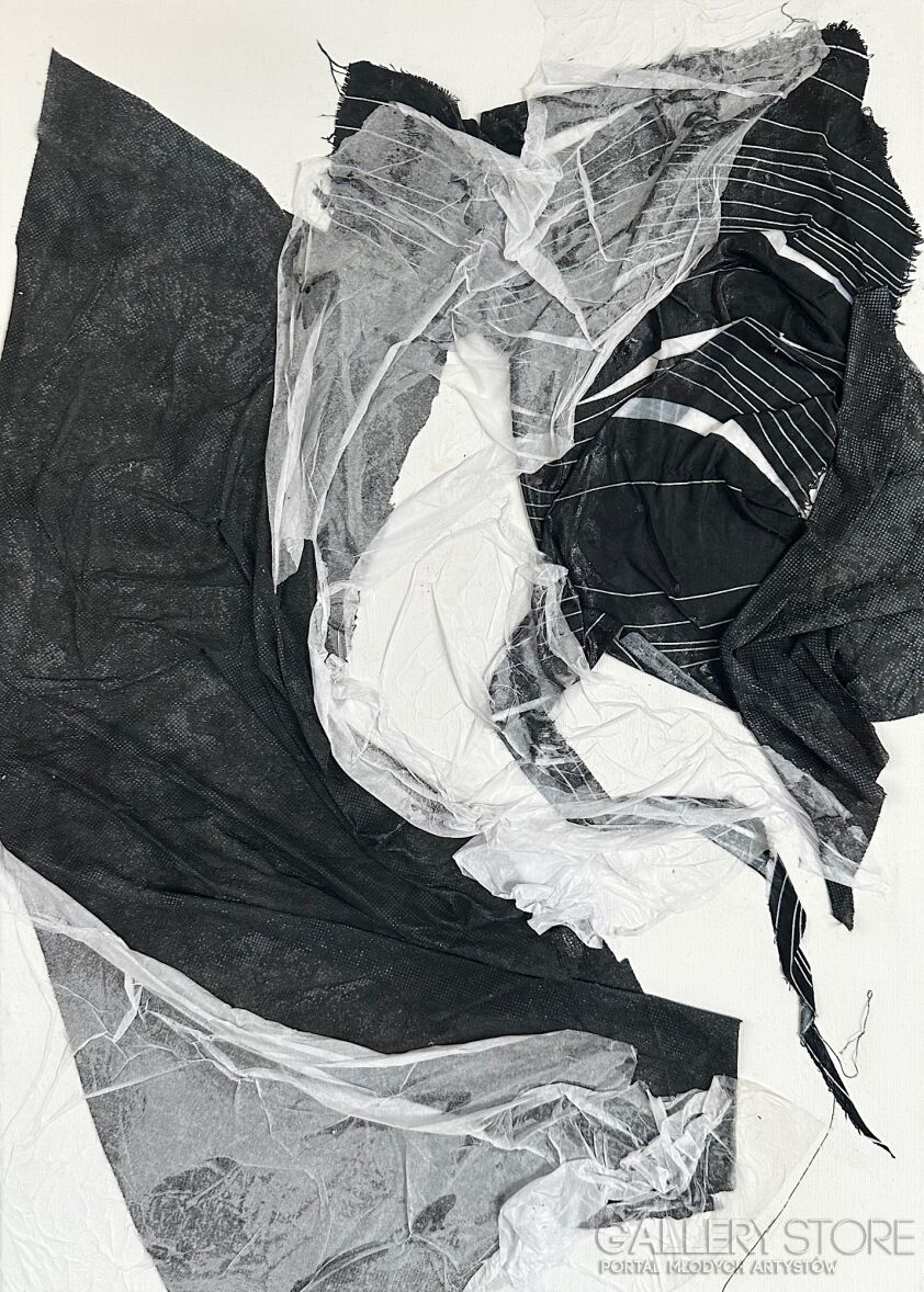 First34935 Last34935-Waves of revival black and white 2-Technika mieszana