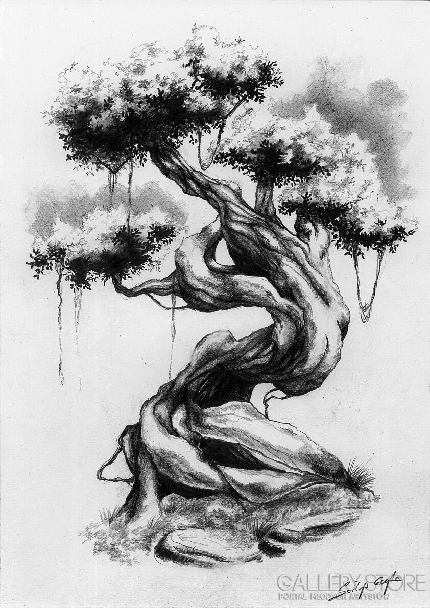 First40791 Last40791-Bonsai-Rysunek