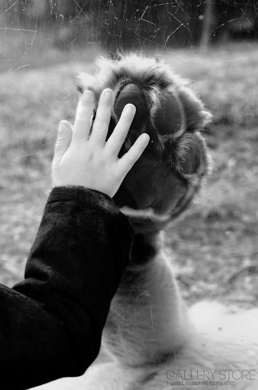 First39864 Last39864-Szyba-Fotografia