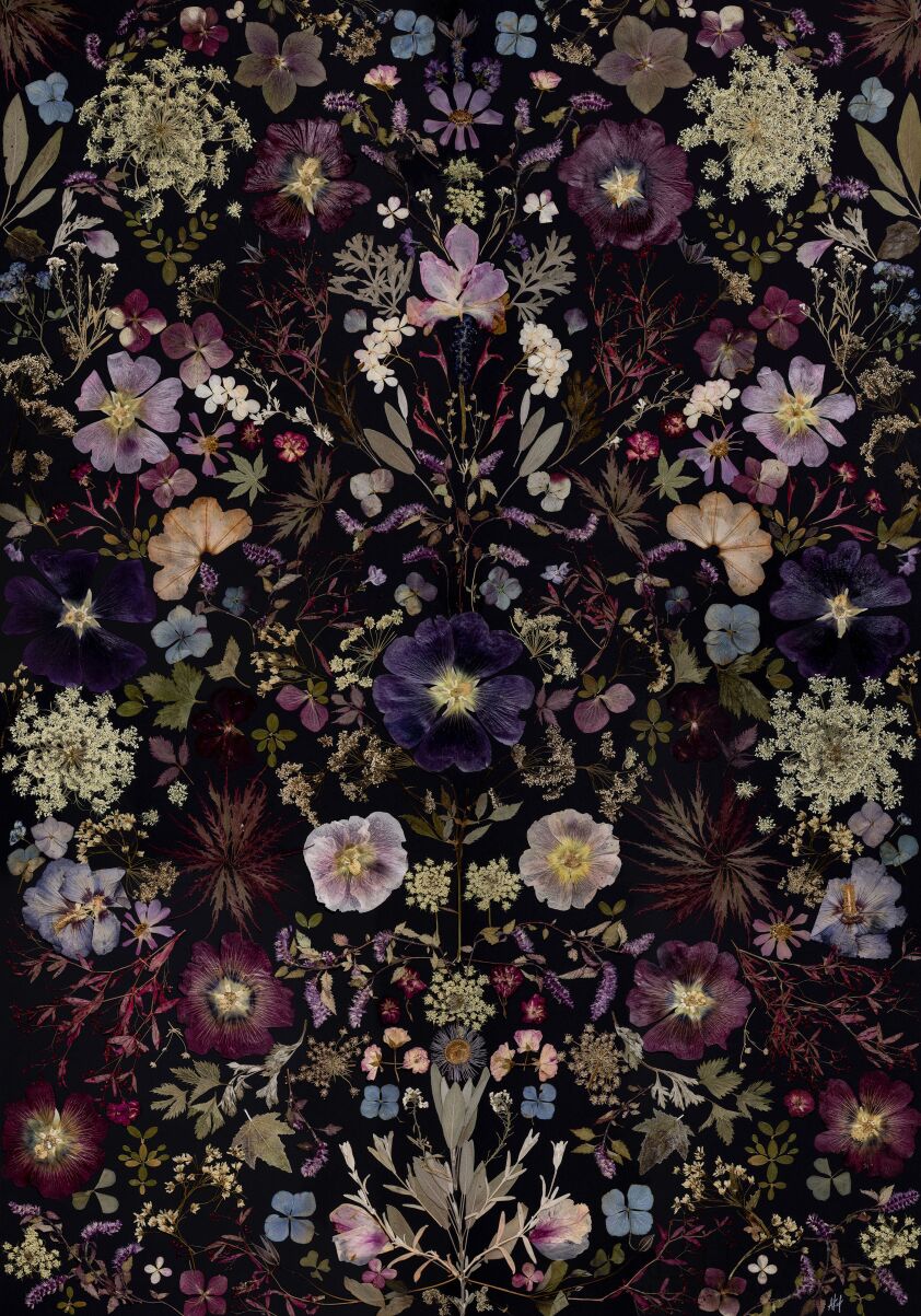 First27803 Last27803-Symetria kwiatowa-Giclee