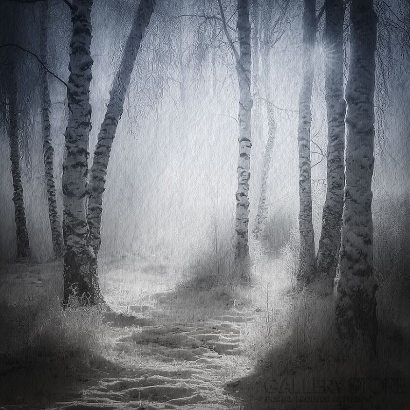 First31563 Last31563-krajobraz1142-Giclee