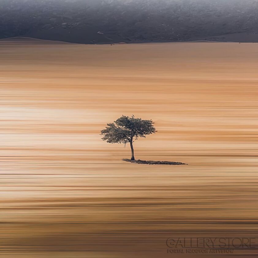 First31563 Last31563-krajobraz703a-Giclee