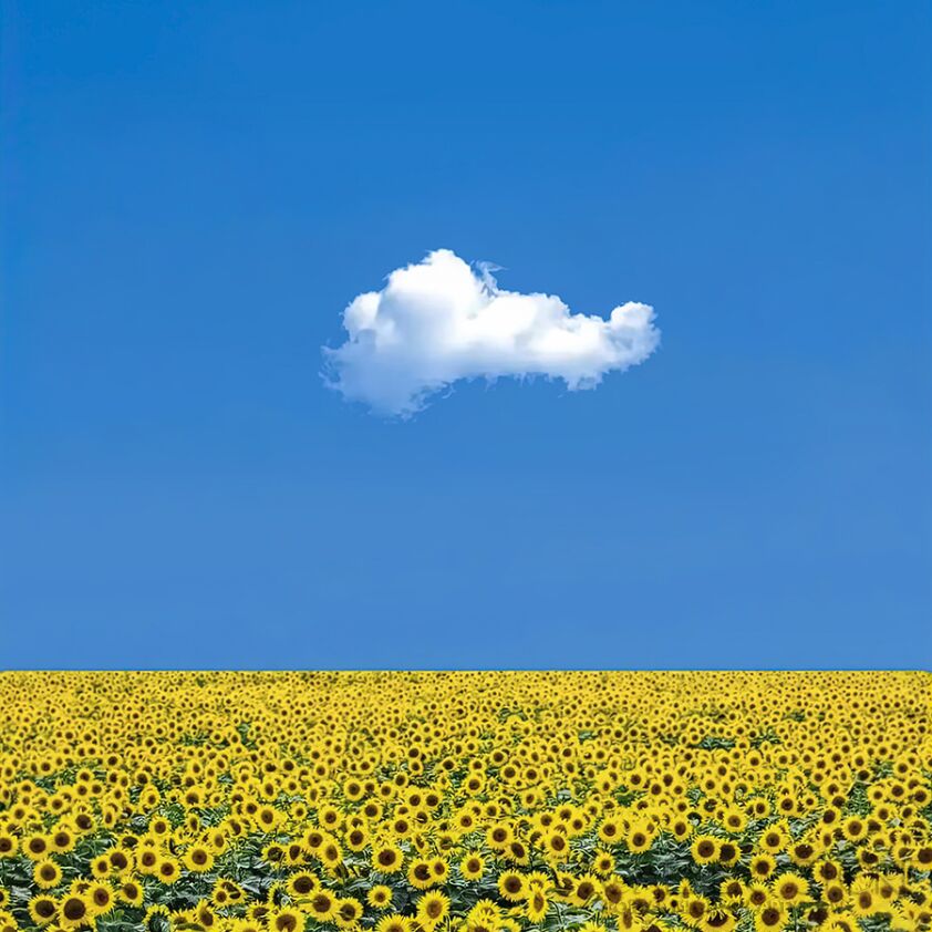 First31563 Last31563-krajobraz707a-Giclee
