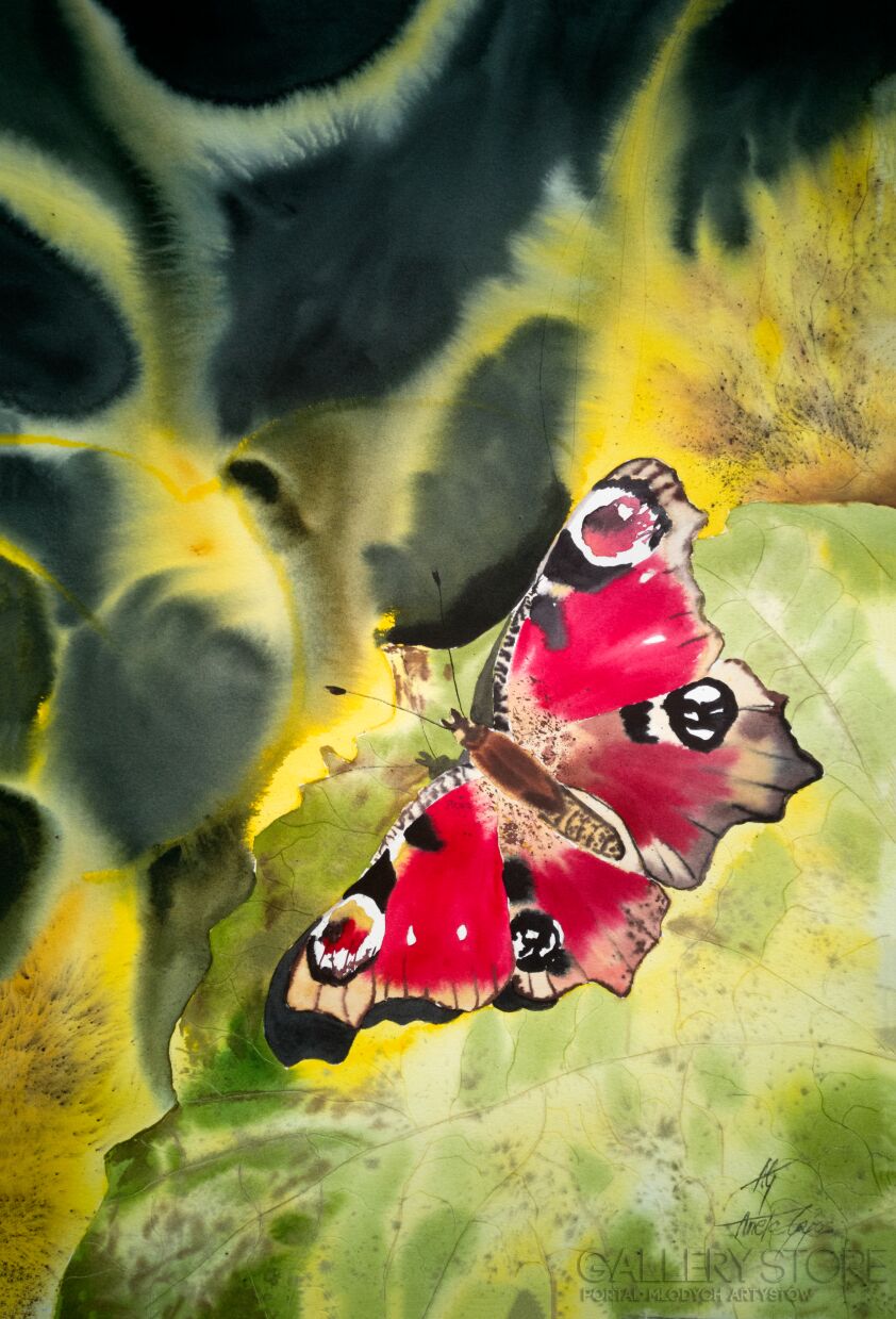 First30996 Last30996-Autumn Butterfly 2-Akwarela