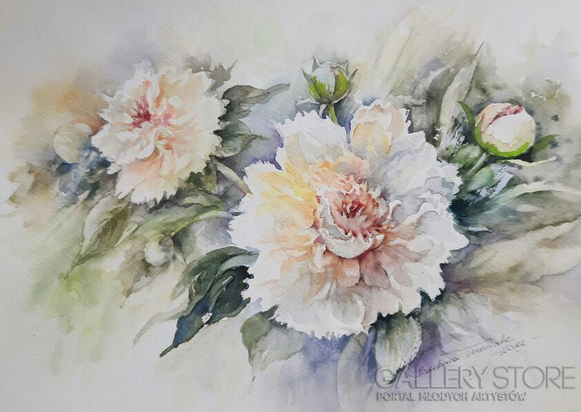 First36555 Last36555-Peonie-Akwarela