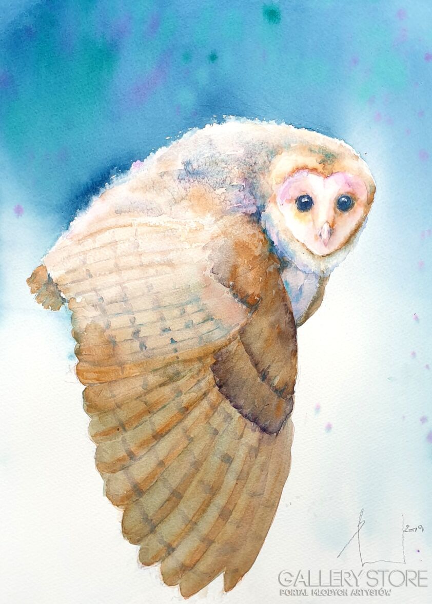 First26826 Last26826-BARN OWL. PŁOMYKÓWKA 2019.070-Akwarela