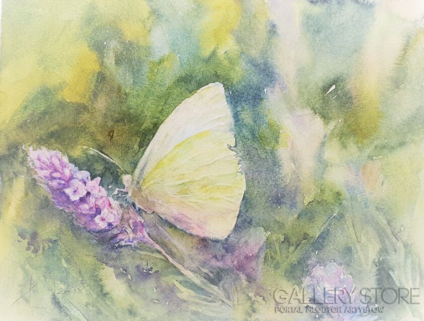 First26826 Last26826-BUTTERFLY AND LAVENDER  2018.057 -Akwarela