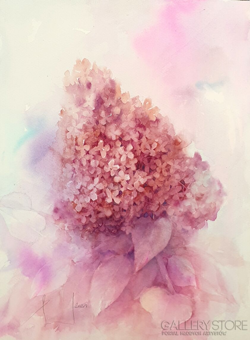 First26826 Last26826-MAGICAL SWEET SUMMER. PINK HYDRANGEA 2021.001-Akwarela