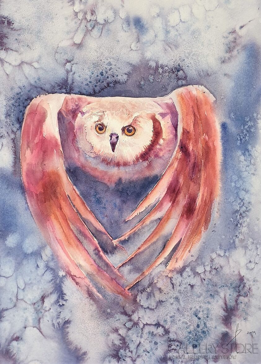First26826 Last26826-OWL IN SNOW 2019.008-Akwarela