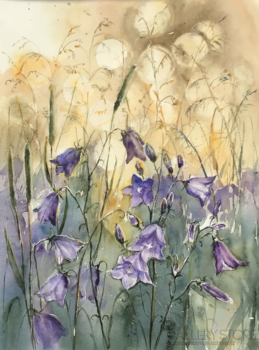 First32907 Last32907-Campanula-Akwarela