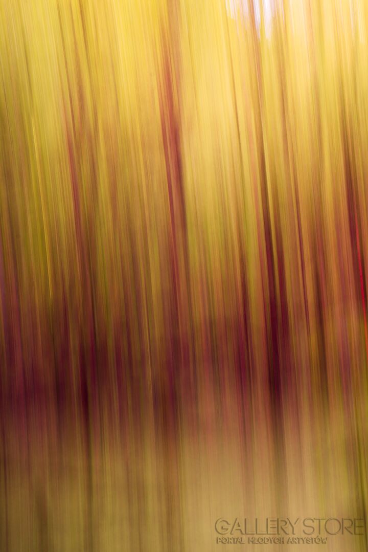 First31427 Last31427-abstract vol.1-Fotografia