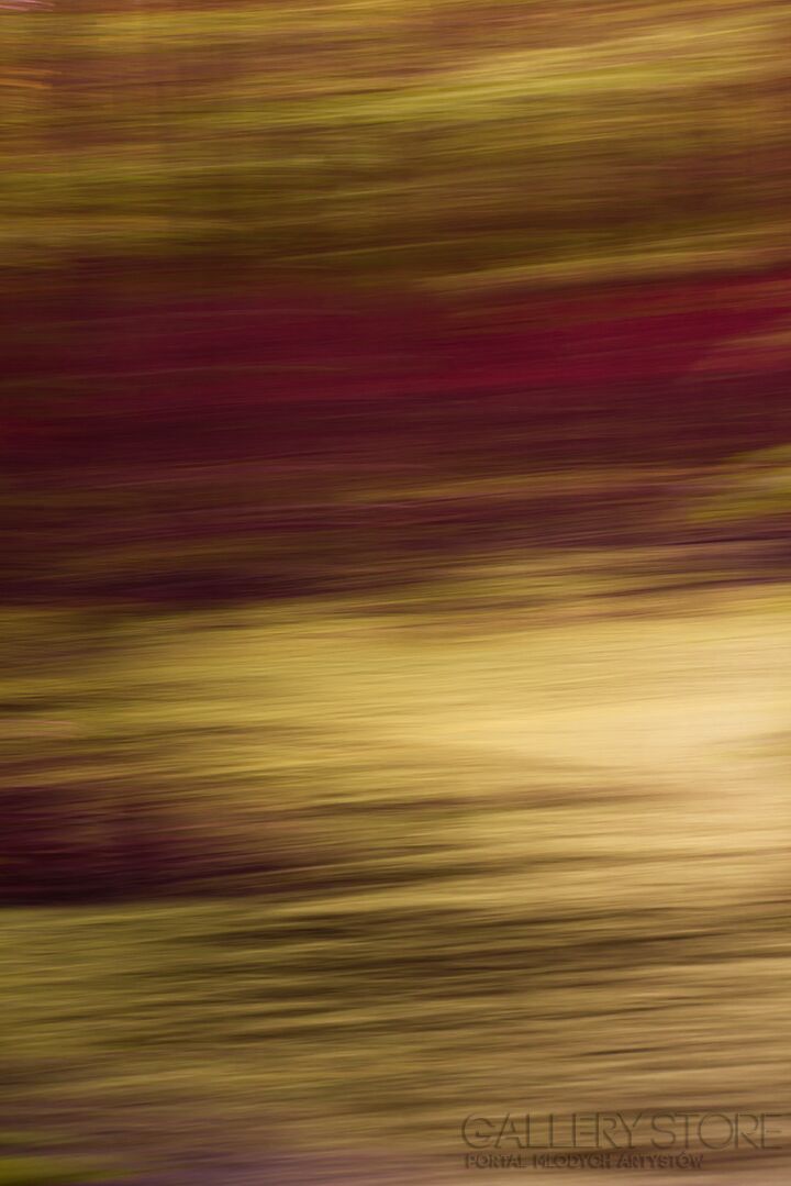 First31427 Last31427-abstract vol.2-Fotografia