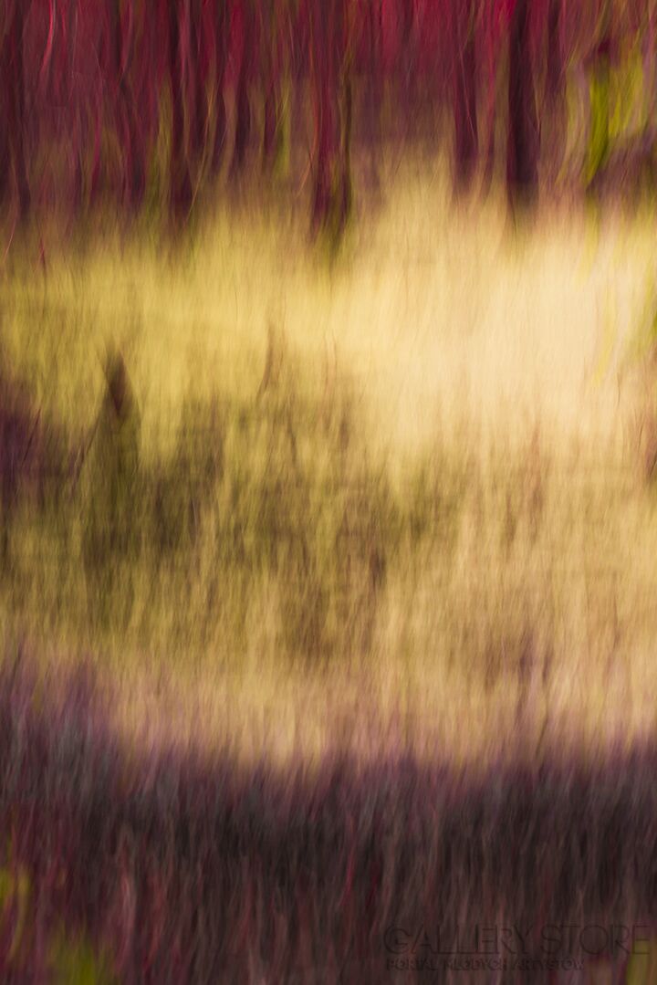 First31427 Last31427-abstract vol.3-Fotografia