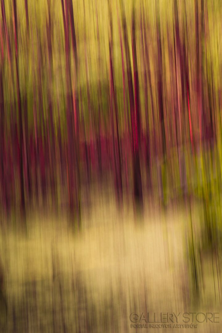 First31427 Last31427-abstract vol.4-Fotografia