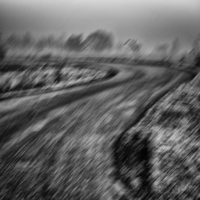 First31427 Last31427-i have a dream vol.2-Fotografia