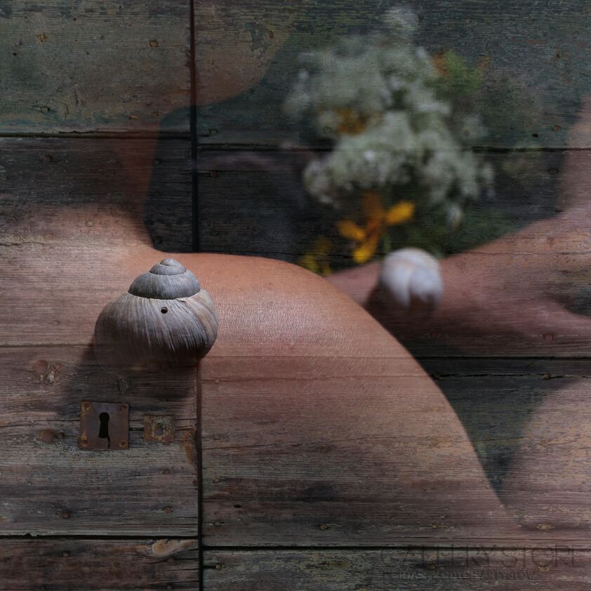 First27778 Last27778-Inne 3-Fotografia