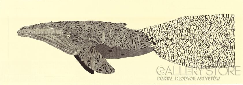 First25689 Last25689-improblable baleine-Rysunek
