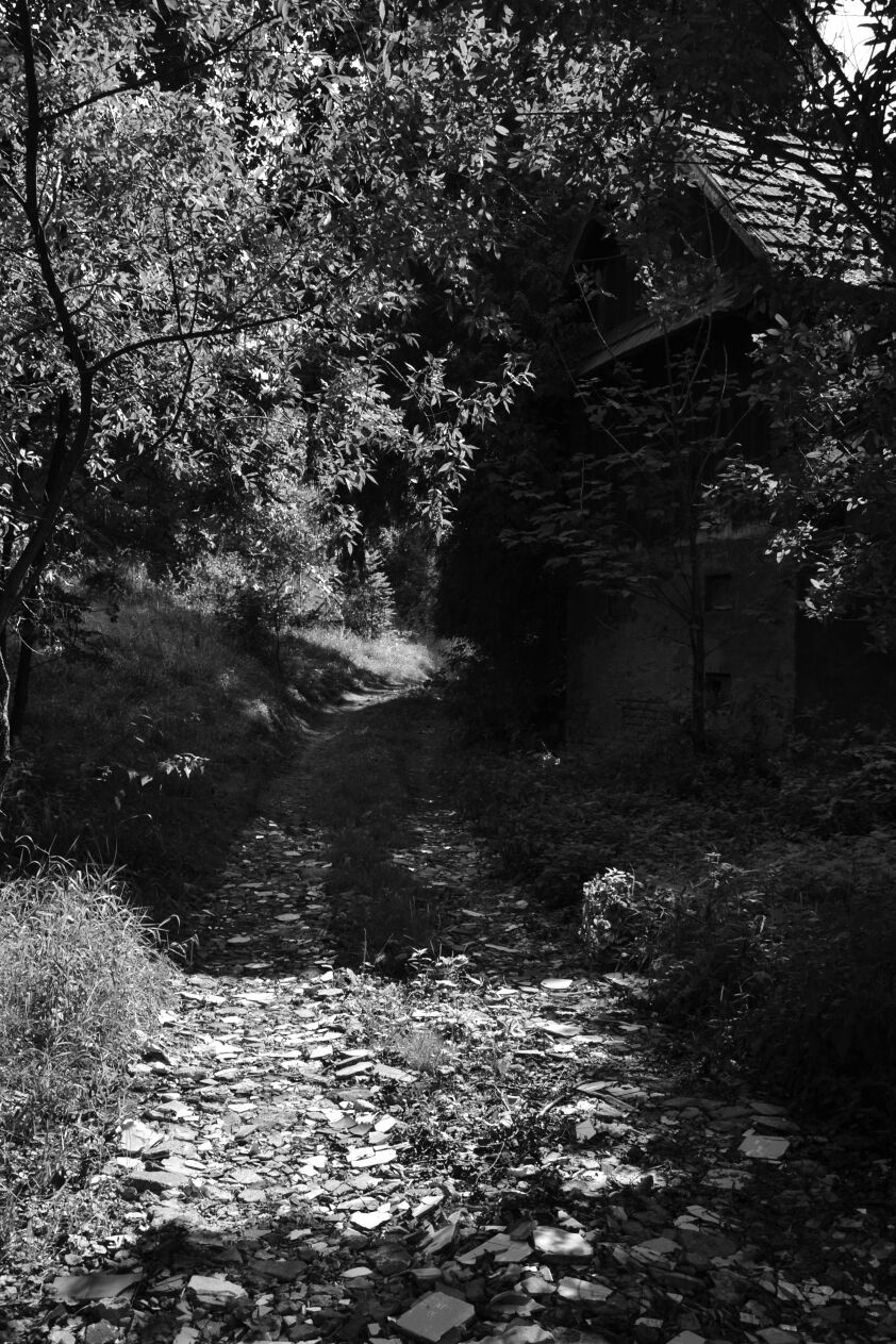 First26449 Last26449-"Niepewność"-Fotografia