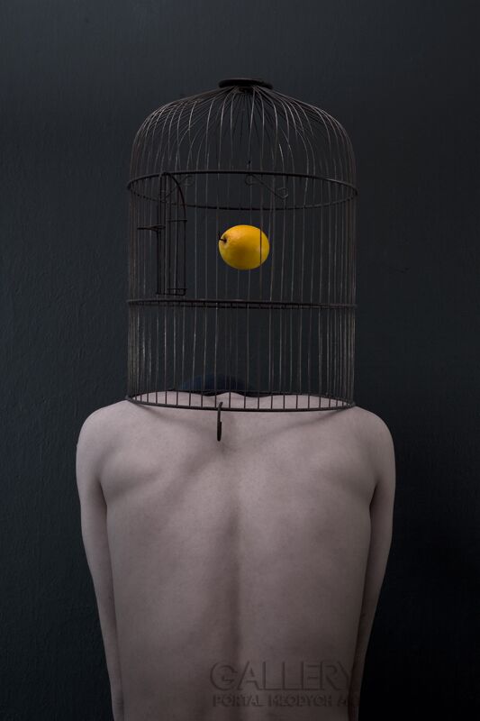 First27185 Last27185-Yellow Mind-Fotografia