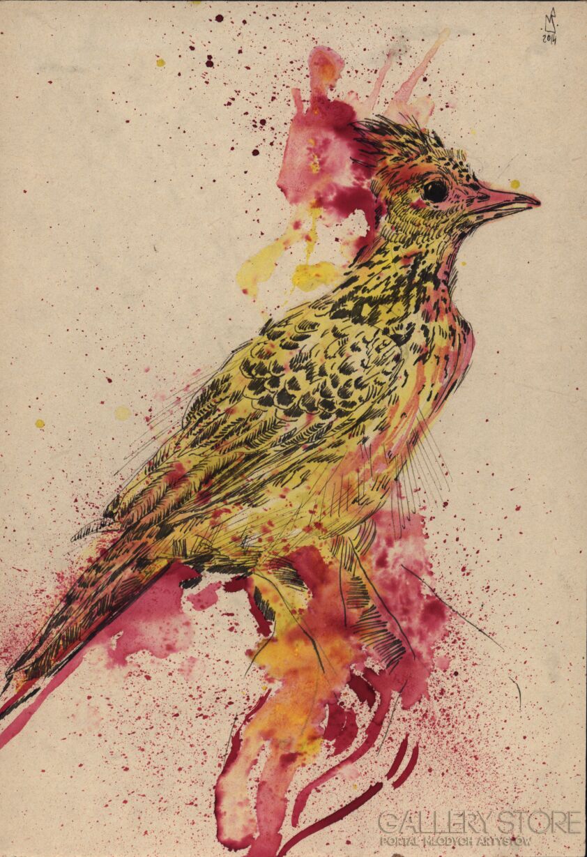 First27819 Last27819-Bird-Rysunek