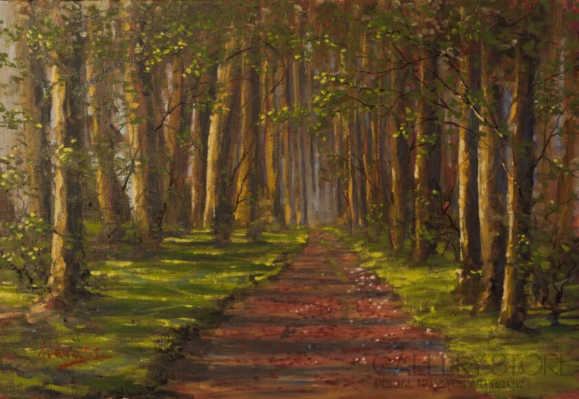 First29660 Last29660-The forest walk -Olej