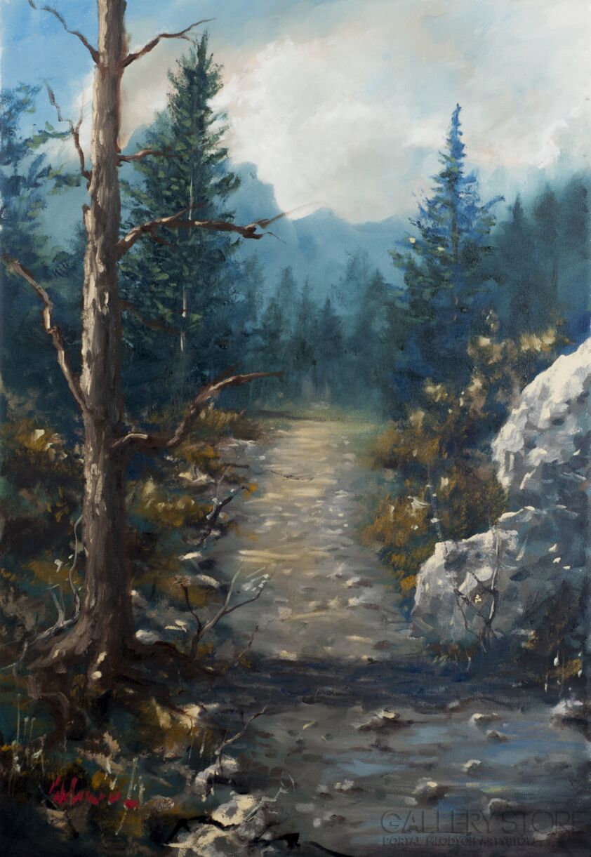First29660 Last29660-The mountain path-Olej