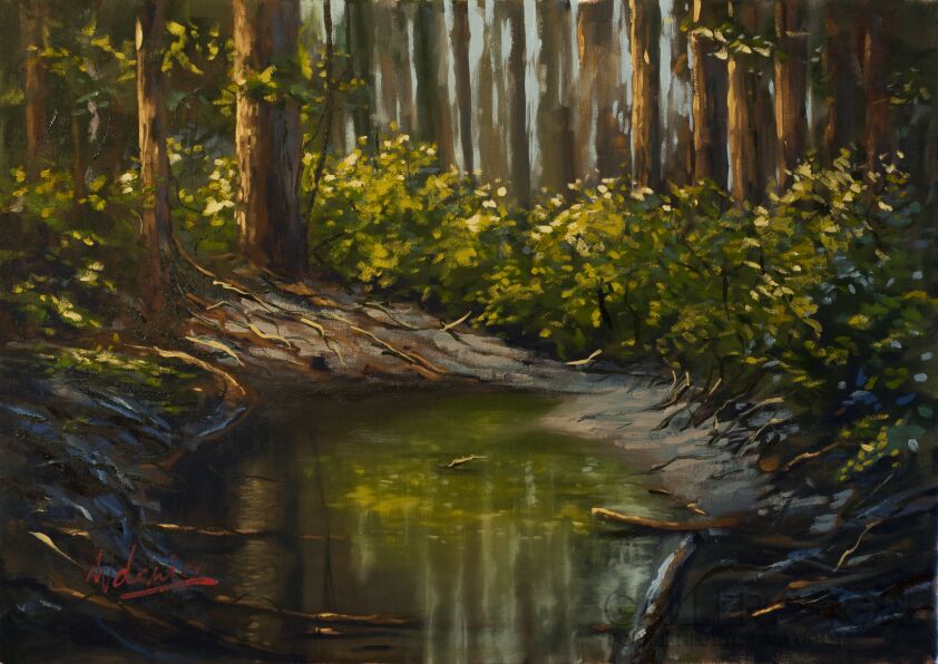 First29660 Last29660-The Pond-Olej
