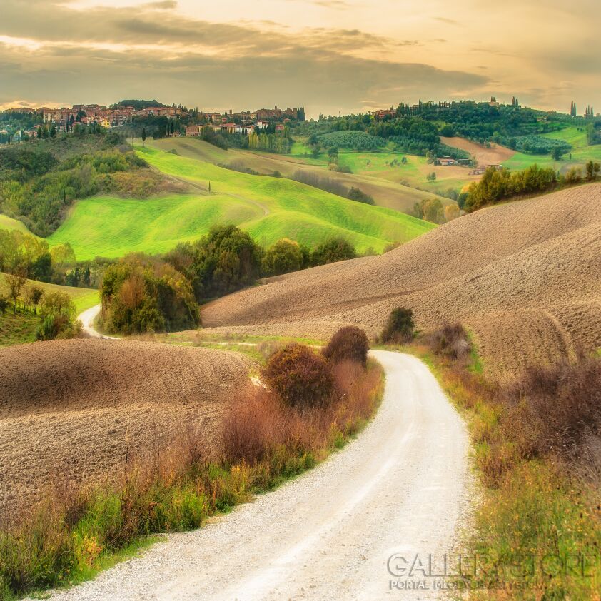 First333 Last333-Val d'Orcia-Fotografia