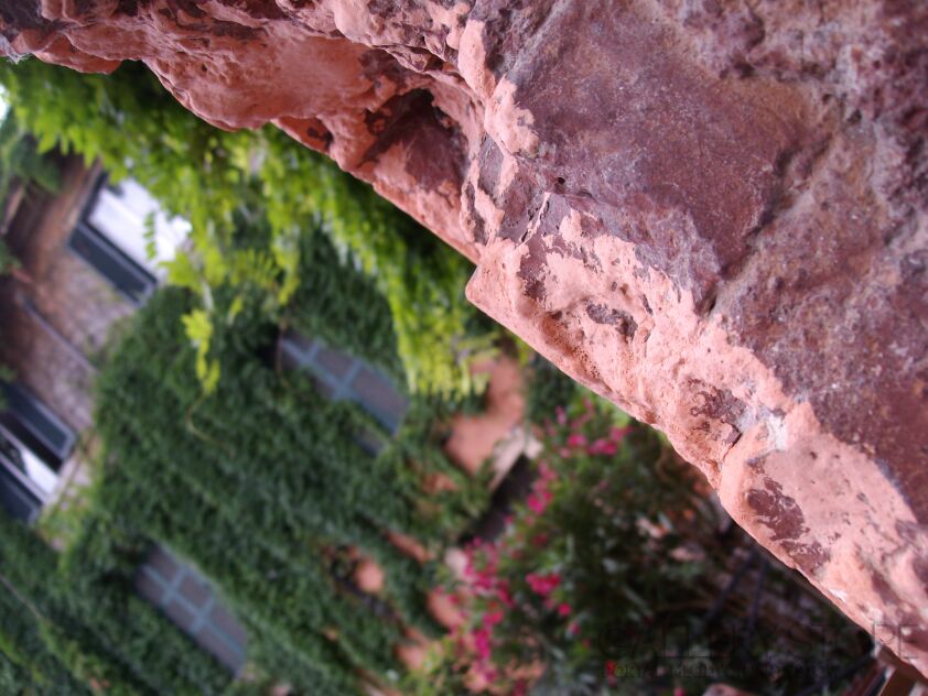 First5423 Last5423-Colors of Trastevere,Rome-Fotografia