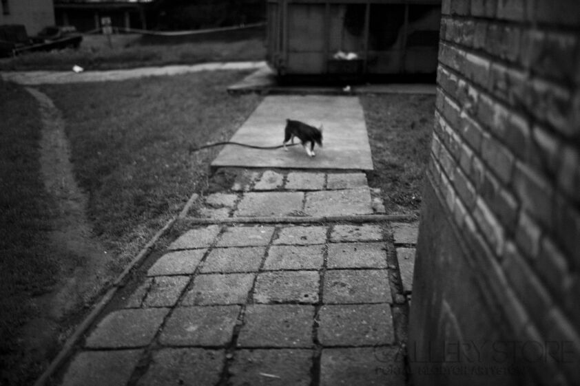 First859 Last859-Awaryjniak-Fotografia