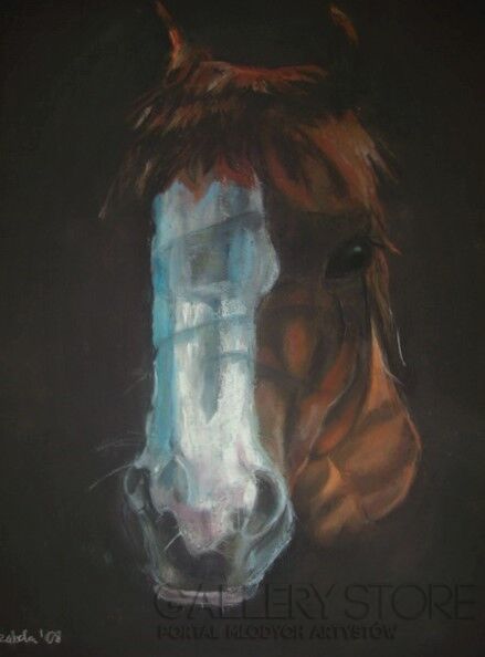 First32878 Last32878-Horse-Rysunek