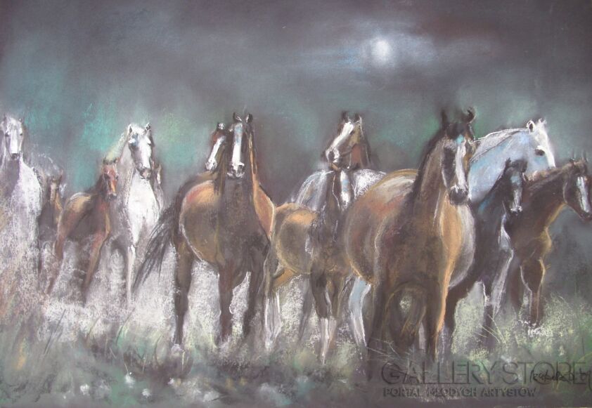 First32878 Last32878-Horses.-Rysunek