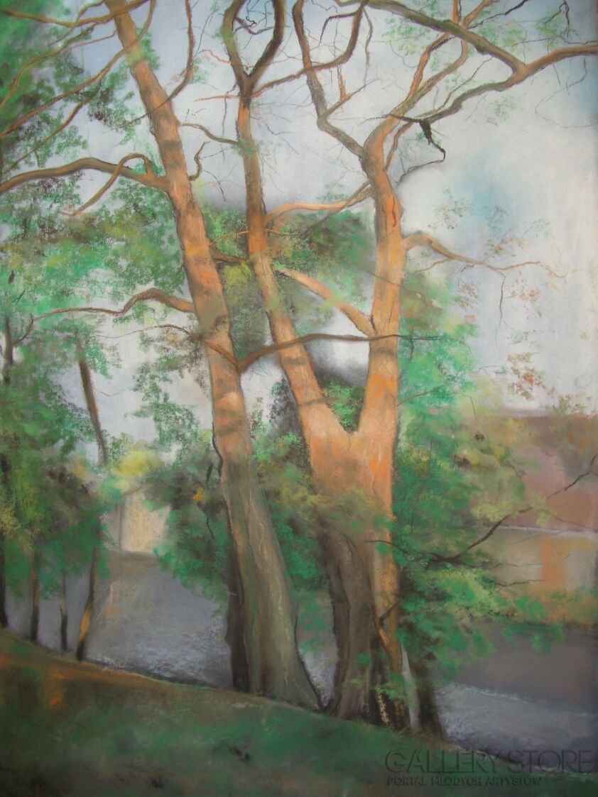 First32878 Last32878-Nature 1-Rysunek