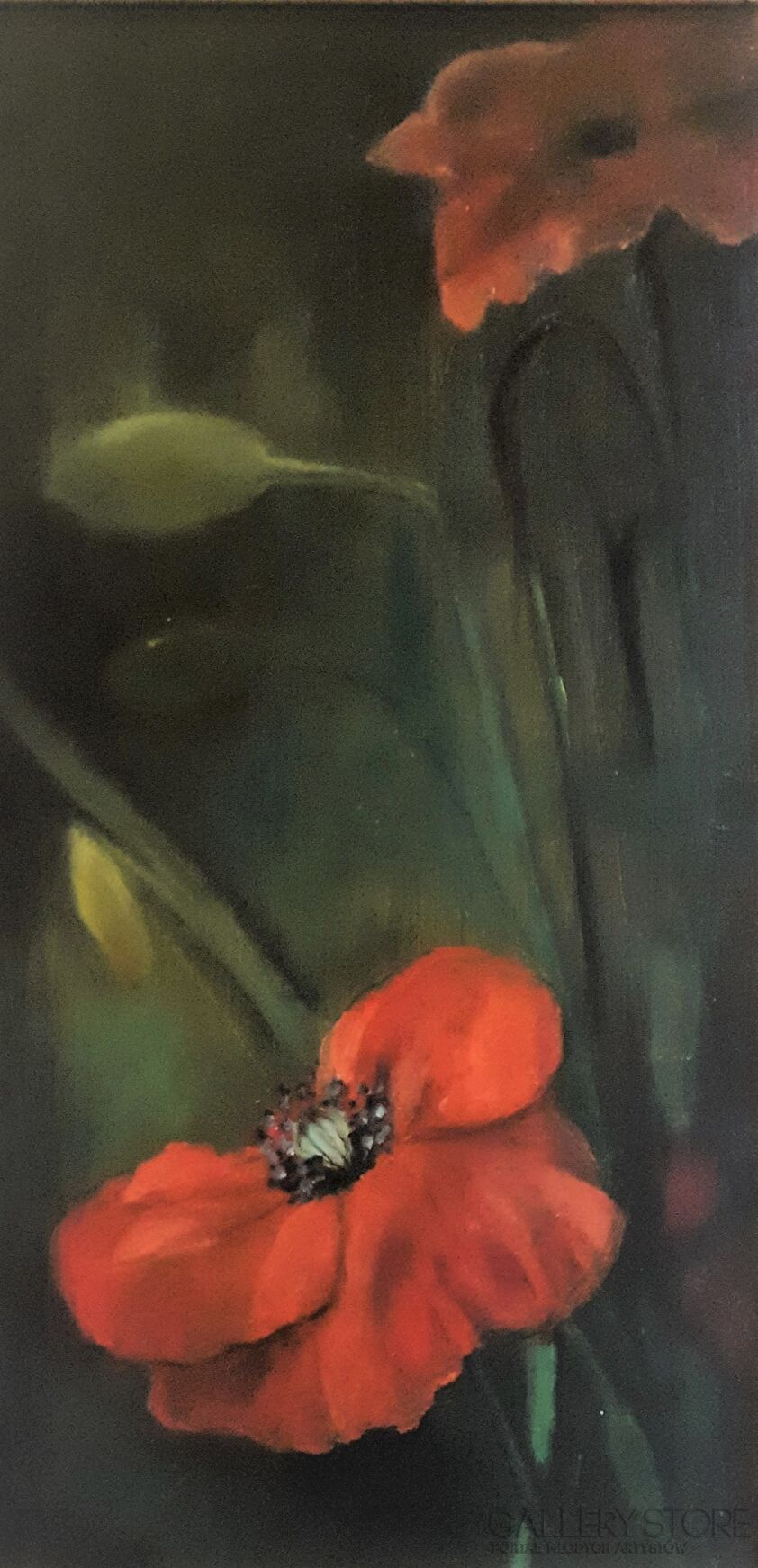 First32878 Last32878-Poppys-Olej