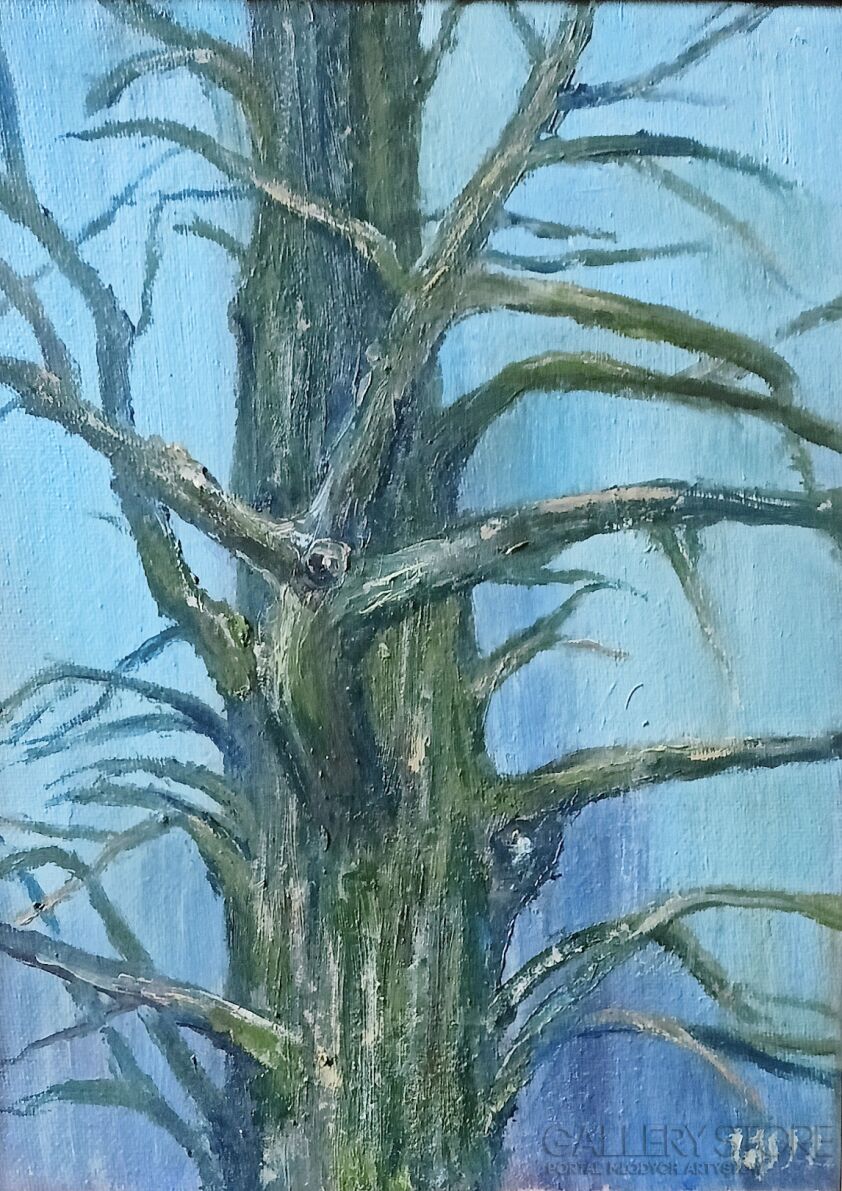First32878 Last32878-Tree-Olej