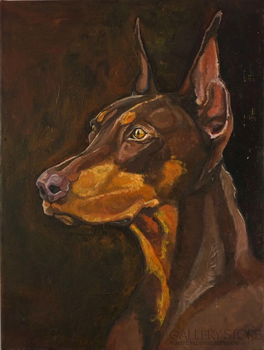 First40707 Last40707-Doberman-Olej