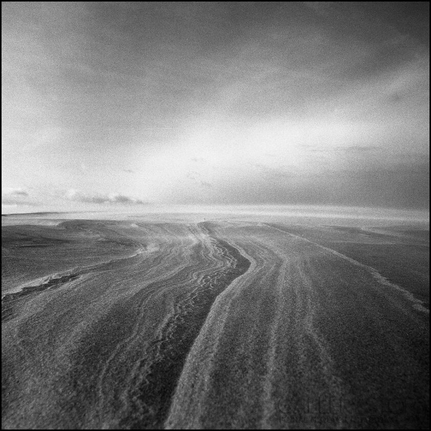 First34492 Last34492-Windy-Fotografia