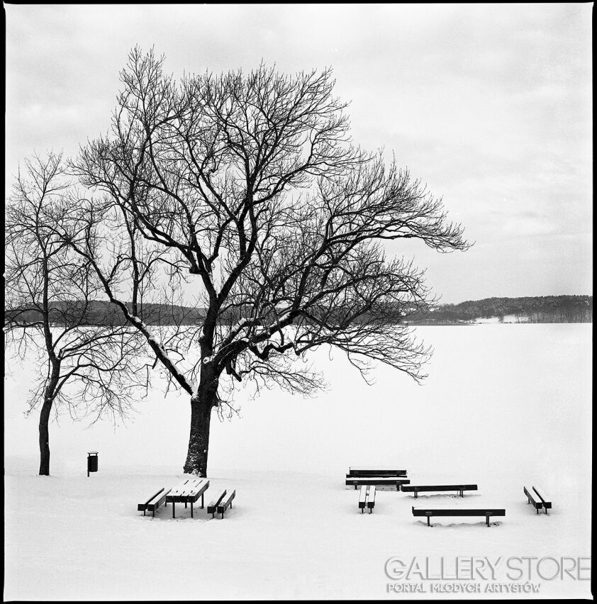 First34492 Last34492-Zimowy plac zabaw-Fotografia