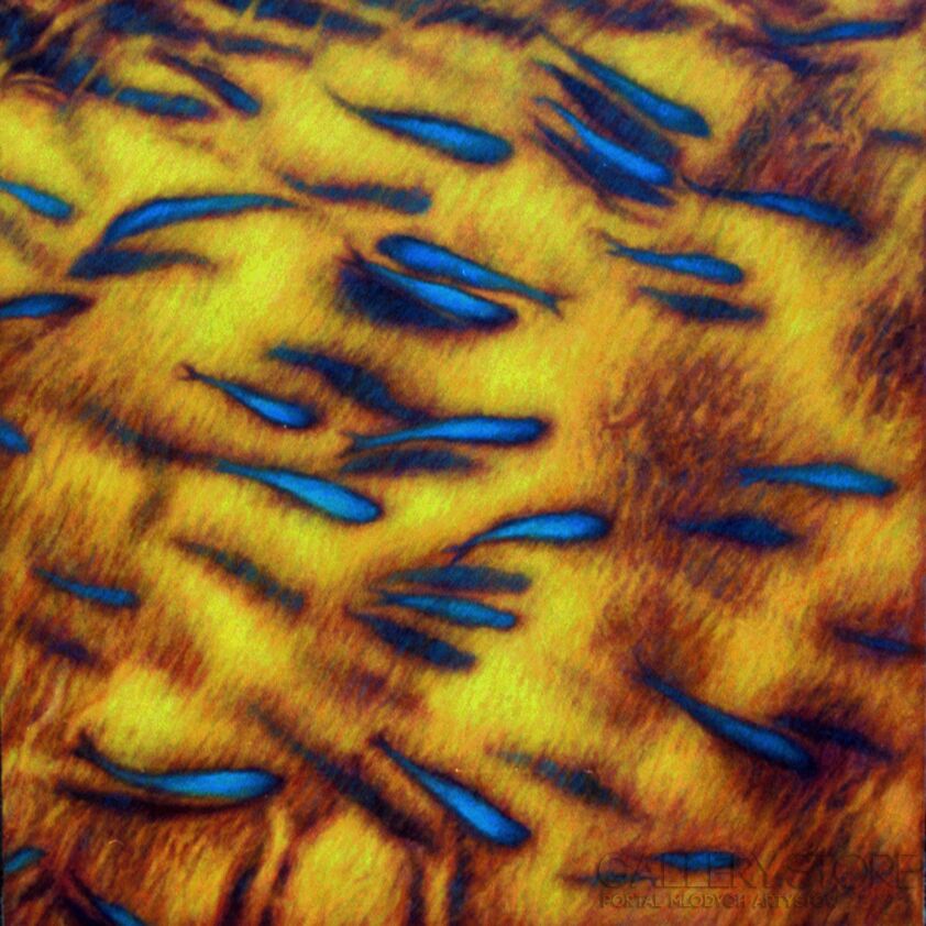 First26911 Last26911-Blue fish-Olej